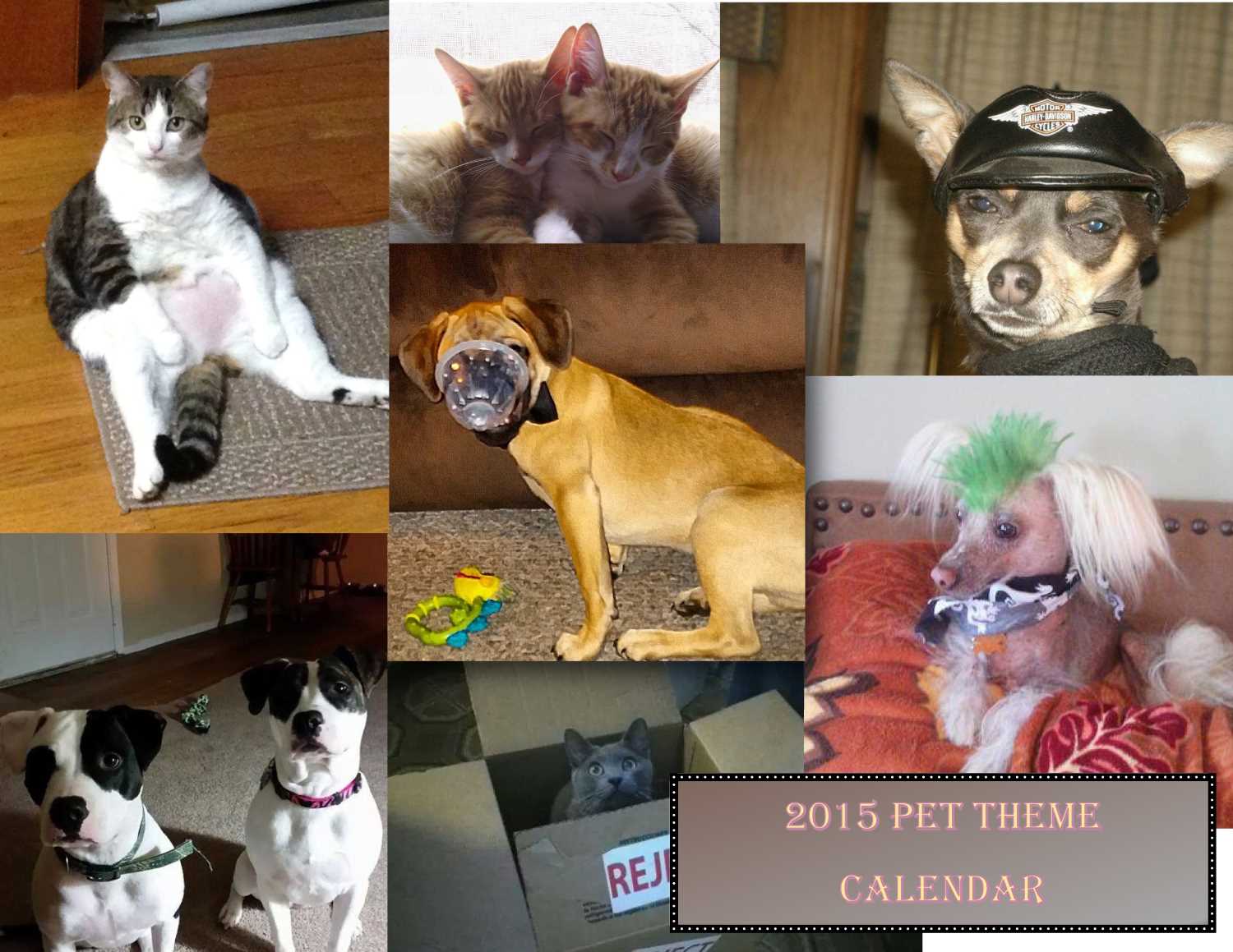 Premade Production Calendar